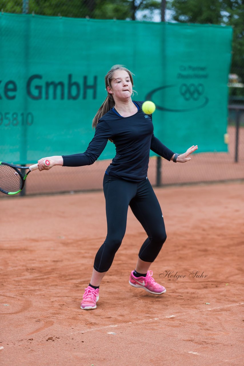 Bild 110 - NL VfL Westercelle - SVE Wiefelstede : Ergebnis: 8:1